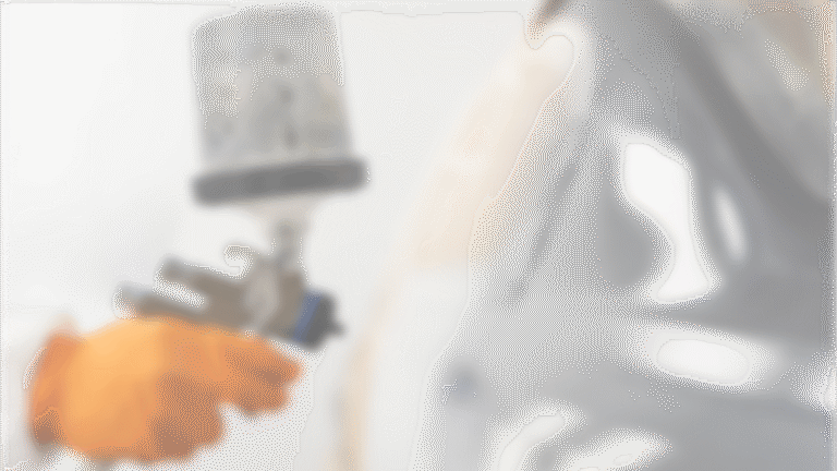 Matte car paint repair